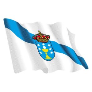 ADHESIVO ONDEANTE  GALICIA 6X8 CM