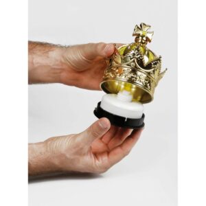 AMBIENTADOR KING (SELECCIONE FRAGANCIA)