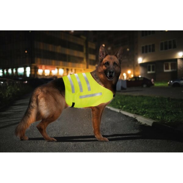 CHALECO REFLECTANTE DE ALTA VISIBILIDAD PARA ANIMALES TALLA L - Imagen 3