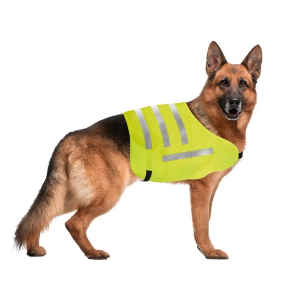 CHALECO REFLECTANTE DE ALTA VISIBILIDAD PARA ANIMALES TALLA L - Imagen 4