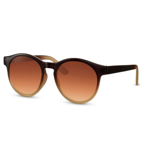 GAFA DE SOL REDONDA UNISEX MONTURA DE PLASTICO COLOR CAFE (EXPOSITOR 16 UNIDADES) - Imagen 3