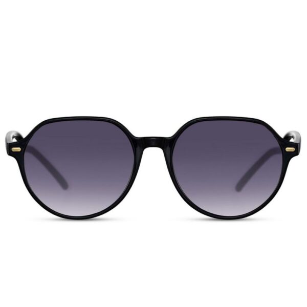 GAFA DE SOL REDONDA UNISEX MONTURA DE PLASTICO COLOR NEGRO (EXPOSITOR 16 UNIDADES) - Imagen 2