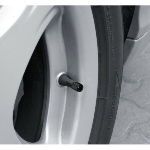 TAPONES VALVULA ABS (5 UNIDADES) - Imagen 2